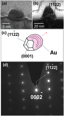 Surface and interface morphologies of ZnO nanowires on sapphire and GaN. (a) Cross-section of a ZnO nanowire on a-sapphire. Sapphire deforms underneath the nanowire. (b) Cross-section of a ZnO nanowire on GaN. Here with a better lattice match, substrate deformation is not detectable. (c) The top view schematic of the initial ZnO island is expected to have six non-polar (112̄2) facets. Au interfaces with three of these side facets from which the middle one has a higher growth rate determining the direction of the nanowire (red arrow). (d) SAED pattern of the nanowire segment in part (b) shows [0002̄] and [112̄2] directions of the nanowire and GaN.