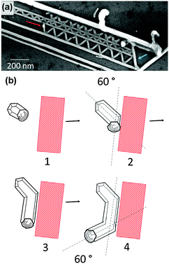 (a) Change in the growth direction due to artificial barriers. This image also highlights the impact of hexagonal structure of the GaN substrate on the growth direction. (b) SEM data supports a sequence of events in which the Au droplet moves to a neighboring facet upon encountering an external surface. Each Au droplet migration results in a 60° rotation in the growth direction.