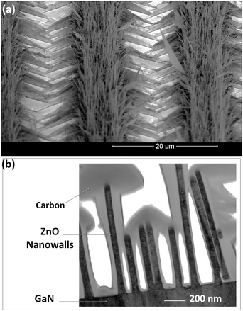 An oblique view of arrays of ZnO nanowalls grown on GaN. Free-standing nanowires are also grown from Au droplets inside the patterns. (b) TEM cross-section of nanowalls shows the elongation of their second dimension along the ZnO polar direction; their narrow width distribution of nanowalls is also noticeable.