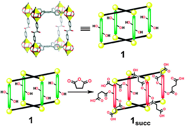 Top: a stick diagram showing a single network unit 1 subjected to post-synthesis functionalisation. Yellow polyhedra represent zinc ions. Carbon: grey; oxygen: red; nitrogen: blue. Bottom: a schematic representation of the reaction of unit 1 with succinic anhydride to give 1succ with free carboxylic acid groups tethered to the struts via ester linkages (copyright from ref. 352).