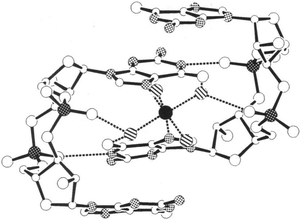 Crystal structure of self-associated c-di-GMP dimer.137 Black-on-white stippled atoms: nitrogen atoms; white-on-black stippled atoms: phosphorus atoms; black: Mg2+; Hatched: waters coordinated to Mg2+; dashed lines: hydrogen bonds. (Copied from ref. 137 with permission. Copyright 1990, National Academy of Sciences, U.S.A.)