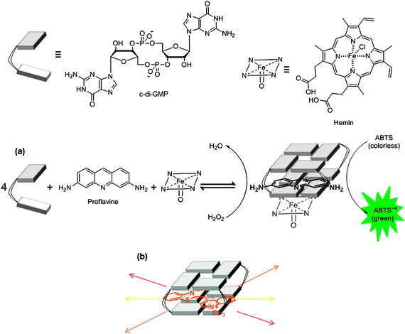 (a) Colorimetric and (b) fluorescence detection of c-di-GMP utilizing aggregation strategy. ABTS: 2,2′-azino-bis(3-ethylbenzothiazoline-6-sulfonic acid).