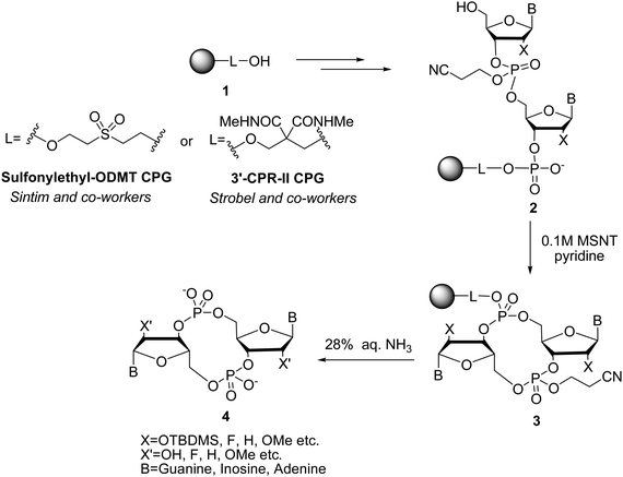Solid-phase synthesis strategy of c-di-GMP.
