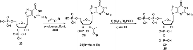 Chemical synthesis of ppGpp.305,306