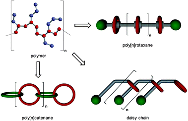 Mechanically interlocked macromolecules as a further development towards new polymeric materials including poly[n]rotaxanes, poly[n]catenanes and daisy chains.