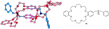 Crystal structure of a [c2]daisy chain formed by a plerotopic crown ether/dialkylammonium monomer (15). Reprinted with permission of Stoddart et al.23