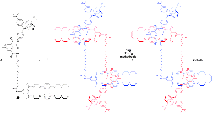 Schematic illustration of the synthesis of a pyridinium/isophthalamide [c2]daisy chain using an anion-templating approach.27