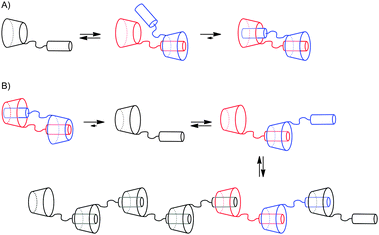 Schematic illustration of the aggregation behavior of hermaphroditic cyclodextrins with: (A) thread attached in 6 position; (B) thread attached in 3 position.