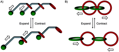 Possible internal elongation mobility of (A) daisy chains and (B) polycatenanes.24