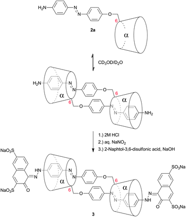 Self-aggregation of azobenzene substituted α-cyclodextrin 2a. Attachment of 2-naphthol-3,6-disulfonic acid to the remaining free amines prevented deaggregation.45