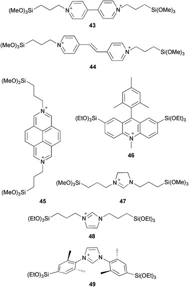 Periodic Mesoporous Organosilicas: from simple to complex