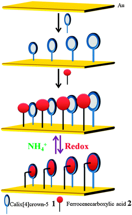Construction of a well-defined mixed SAM and its characterization. (Reproduced fromref. 40with permission from The Royal Society of Chemistry.)