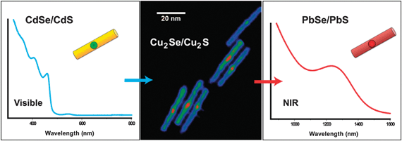 Cation exchange in nanoheterostructures enabled by preservation of the anionic framework. CdSe/CdS dot/rods can serve as templates to synthesize Cu2Se/Cu2S or PbSe/PbS dot/rods otherwise difficult to synthesize via conventional hot injection. Reprinted with permission from ref. 13. Copyright 2010 American Chemical Society.