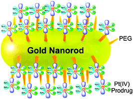 Illustration of the PEGylated gold nanorod as a DTD carrier for a platinum(iv) prodrug.