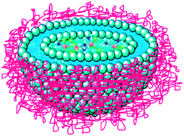 An illustration of Lipoplatin™ shows the encapsulation of cisplatin in the lipid bilayer with the surface of the liposome being coated by hydrophilic PEG molecules.