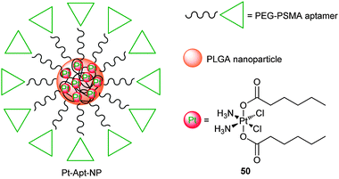 The chemical structure of the encapsulated platinum(iv) prodrug within the PLGA-PEG nanoparticle.
