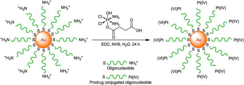 The synthesis of Pt(iv)–DNA–Au nanoparticles through peptide bond formation.