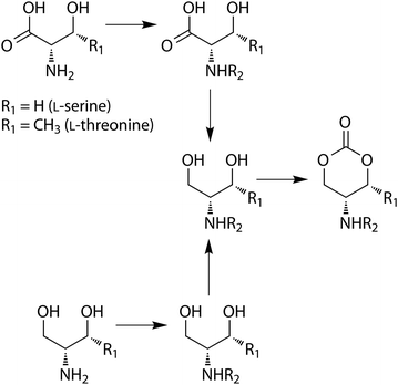 Preparation of amino-acid derived cyclic carbonate monomers.