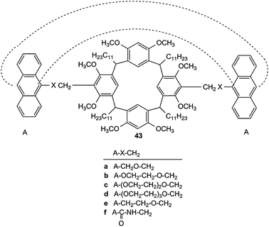 Photochromic resorcin[4]arenes 43 which form a “pocket” by intramolecular [4π + 4π] cycloaddition of the two anthracene units A.