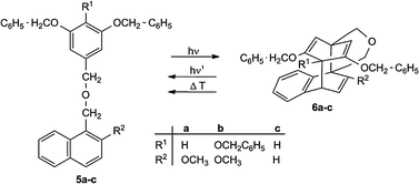 Generation and cleavage of naphthalene–benzene biplanemers 6a–c.