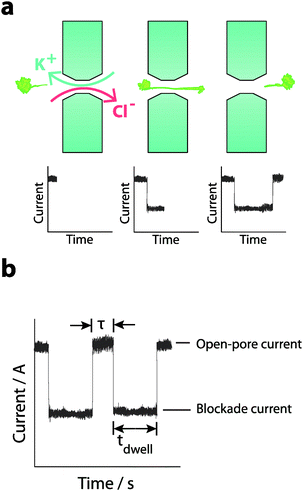 (a) The schematic shows the ionic current recorded as a function of time and the interpretation of the analyte translocation process. The steady-state ionic current is decreased when the analyte is translocated through the pore and then re-established when the molecule exits the pore. (b) Four parameters are generally used to characterise the translocation process: (i) The blockade duration or the time the molecule spends in the nanopore (tdwell). (ii) The amplitude of the blockade current (i.e. difference between open-pore current and the blockade current). (iii) The time between translocation events (τ). (iv) The capture rate defined as the number of translocation events per unit time. All parameters are directly dependent on the applied bias, and nanopore geometry as shown in eqn (1) whilst (iii) and (iv) are also dependant on the analyte concentration.