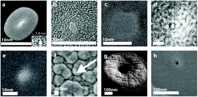 Various SEM, TEM and AFM images of nanopores fabricated in solid-state membranes. (a) A 1.8 nm nanopore in SiNx using Ar-ion beam sculpting19 (inset shows higher magnification TEM image of the nanopore). (b) A nanopore drilled in SiO2 using a tightly focused electron beam with an initial diameter of about 6 nm and reduced to a final diameter of 2 nm after high-intensity wide-field TEM illumination.9 (c) A TEM image of sub-10 nm nanopore fabricated by transmission electron beam ablation lithography in graphene.22 (d) A TEM image of a 3 nm pore milled with a Ga focused ion beam in a 20 nm thick SiC membrane.10 (e) 4 nm nanopore fabricated using a He ion microscope in a SiNx membrane.26 (f) A 100 nm nanopore electrochemically deposited with Pt to produce a final nanopore diameter of approximately 18 nm.30 (g) An AFM image of a 500 nm pore deposited with local oxide deposition with ion-beam induced deposition resulting in a final pore diameter of 30 nm.31 (h) A 50 nm pore deposited with local oxide deposition with electron-beam induced deposition resulting in a final pore diameter of 2 nm.32 All figures obtained with permission.