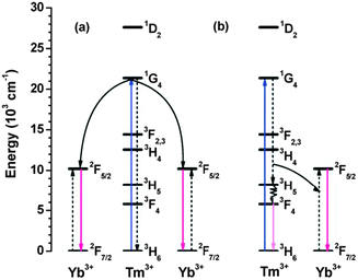 Schematic partial energy-level diagrams of Tm3+ and Yb3+ ions, showing the quantum-cutting mechanisms for the Tm3+–Yb3+ couple upon blue excitation of Tm3+ to the 1G4 state. (a) Quantum-cutting via second-order cooperative ET. The excited energy is simultaneously transferred to two Yb3+ ions, resulting in two NIR photons of Yb3+ ions around 1000 nm. (b) Quantum-cutting via first-order phonon-assisted ET. Part of the excited energy is transferred to one Yb3+ ion through the phonon-assisted ET process [Tm3+ (1G4 → 3H5); Yb3+ (2F7/2 → 2F5/2)], which populates the 3H5 (Tm3+) state and leads to another mid-IR emission from the 3F4 (Tm3+) state at around 1800 nm through fast nonradiative relaxation from 3H5. Note that the energy gap between 3H5 and 3F4 states is about 2250 cm−1. Dotted and solid arrows represent nonradiative ET pathways and optical transitions, respectively. (Reprinted with permission from ref. 228. Copyright 2012, Owner Societies.)
