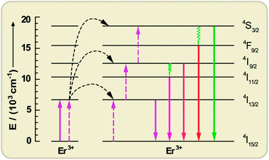 Upconversion processes via the ETU mechanism between two Er3+ ions, resulting in c-Si above-bandgap emissions under c-Si sub-bandgap pump excitation (1520 nm). Solid, dotted, and wavy arrows represent photon absorption/emission, energy transfer, and multiphonon relaxation, respectively.