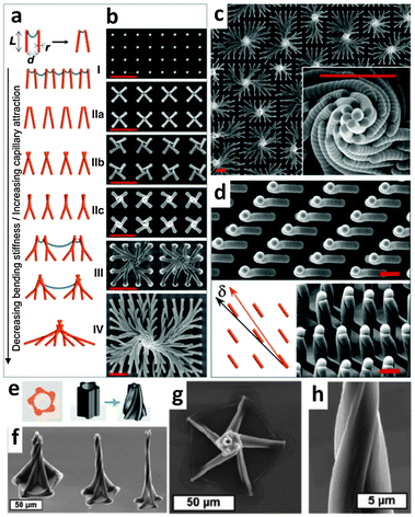 Emerging chirality in nanoscience - Chemical Society Reviews