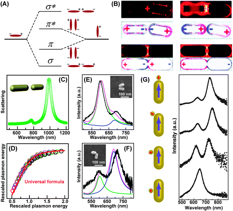 Gold nanorods and their plasmonic properties - Chemical Gold nanorods and their plasmonic properties - Chemical