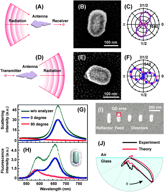 Gold nanorods and their plasmonic properties - Chemical