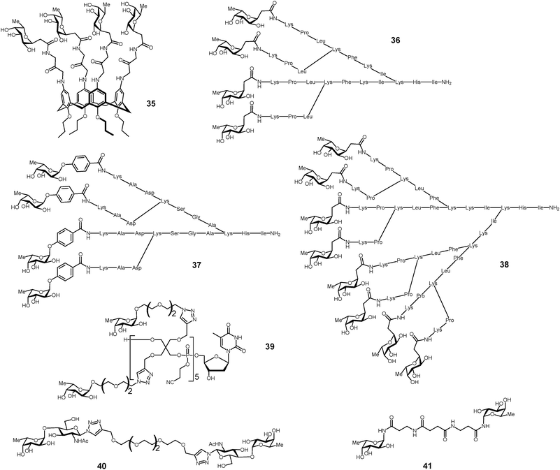 Multivalent glycoconjugates 35–41 as LecB high affinity ligands.