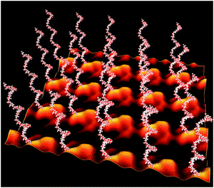 Model of a self-assembled SgsE-neoglycoprotein monolayer periodically displaying recombinant E. coli O7 antigens with nanometer-scale precision. Image reconstruction using Cinema 4 is based on a negatively stained preparation of the S-layer protein self-assembled in solution and on the pdb data of the glycans generated with Sweet at http://www.glycosciences.de/ (adapted from ref. 146, Wiley-VCH Weinheim).