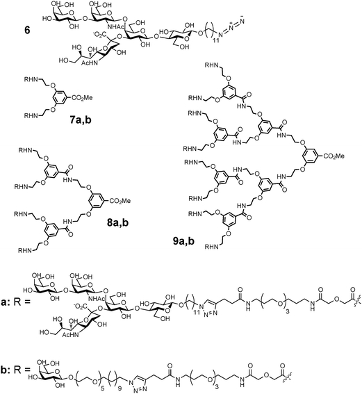 Structures of GM1os- (7a, 8a and 9a) and galactose (7b, 8b and 9b)-based inhibitors of cholera toxin binding.