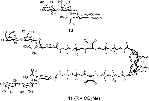 Structurally simplified GM1os mimic 10 grafted onto a functionalized calix[4]arene scaffold to give divalent ligand 11.