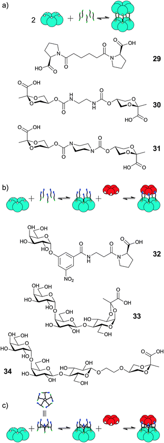 Templated assembly of protein dimerisation using (a) homodimeric ligands for SAP; (b) heterodimeric ligands for SAP and StxB/LTB/CTB; (c) heterodimeric ligands on a pentameric scaffold (e.g., compound 28, Fig. 9).
