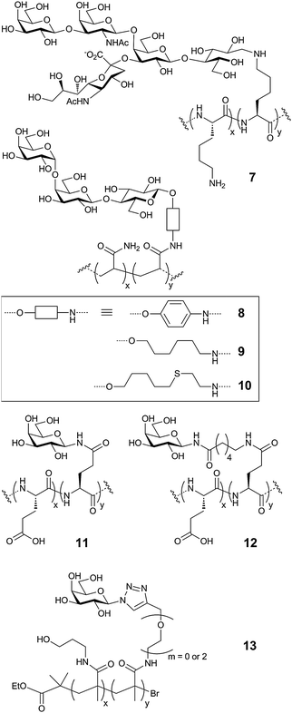Glycopolymer inhibitors of bacterial toxins.