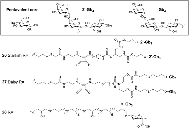 Star-shaped Stx inhibitors reported by Bundle and co-workers.