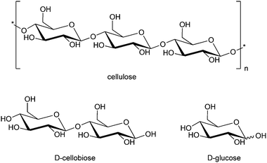 Structure of cellulose and its hydrolysis products cellobiose and glucose.