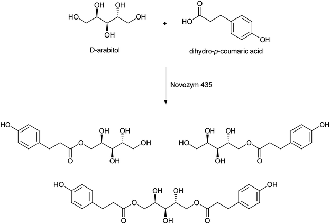 Example of the lipase-catalysed formation of esters of dihydro-p-coumaric acid with a sugar alcohol as reported by Croitoru et al.27