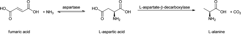 Application of aspartase and l-aspartate β-decarboxylase.