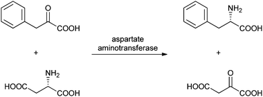 Preparation of l-phenylalanine using asparate aminotransferase.