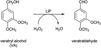 Lignin peroxidase-mediated conversion of veratryl alcohol (VA) to veratraldehyde.