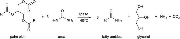 Formation of fatty amides by Al-Mulla et al.43