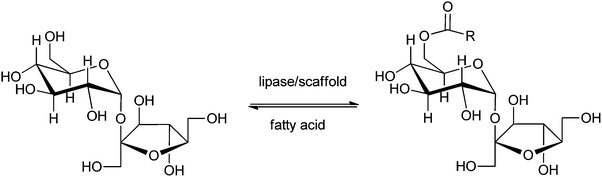 Lipase-catalysed synthesis of 6-O-acyl-sucrose fatty acid esters.82