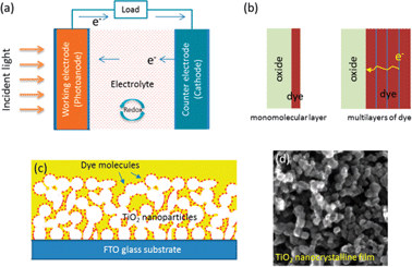 Nanomaterials for energy conversion and storage - Chemical