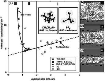 専用　Sサイズ5セット Sequential Defects in Cardiac Lineage Commitment and