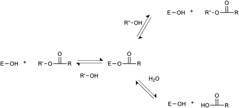 Lipase-catalysed reactions. The lipase with its active site serine hydroxyl group (E–OH) can react with esters or carboxylic acids to form an acyl-enzyme, which in turn can react with various nucleophiles, such as alcohols and water.