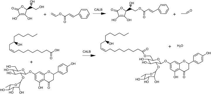 Lipase-catalysed coupling of pairs of bioactive compounds: ascorbic acid and vinyl cinnamate (upper reaction),310 ricinoleic acid and naringin (lower reaction).305