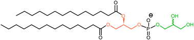 Structure of dimyristoylphosphatidylglycerol. The two glycerol moieties are highlighted in different colours.